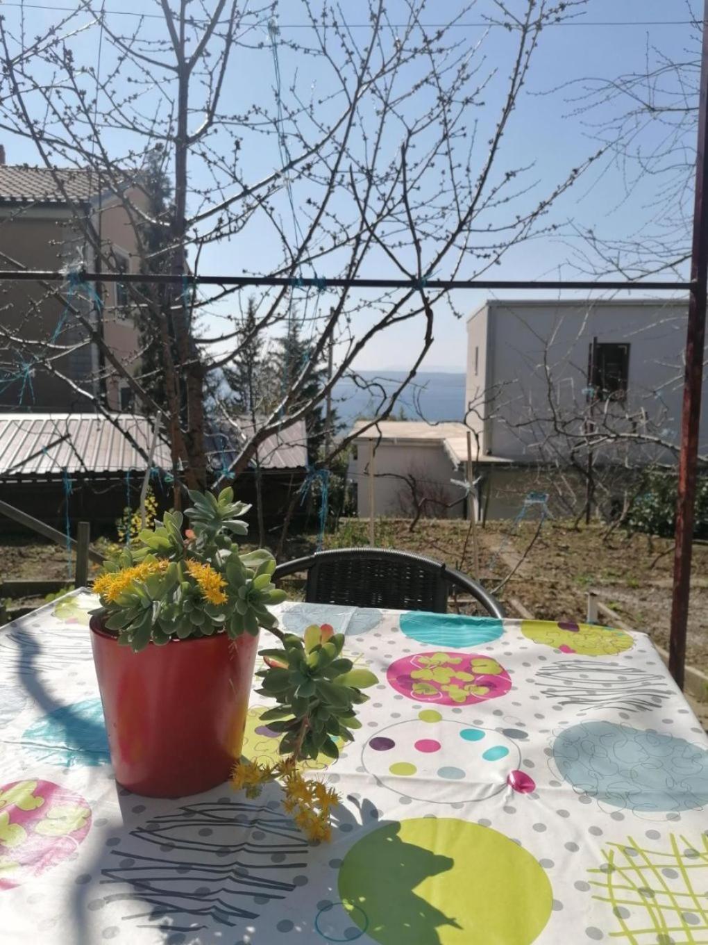 Apartments Olgi - Free Parking Crikvenica Exterior photo